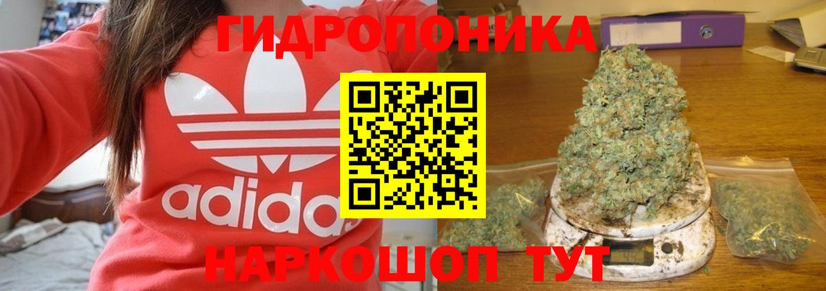 Бошки марихуана VHQ Дальнегорск